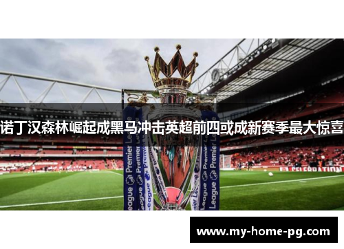 诺丁汉森林崛起成黑马冲击英超前四或成新赛季最大惊喜 诺丁汉森林崛起成黑马冲击英超前四或成新赛季最大惊喜